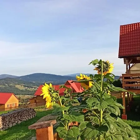 Hébergement de vacances Z Widokiem Na Babia Gore *