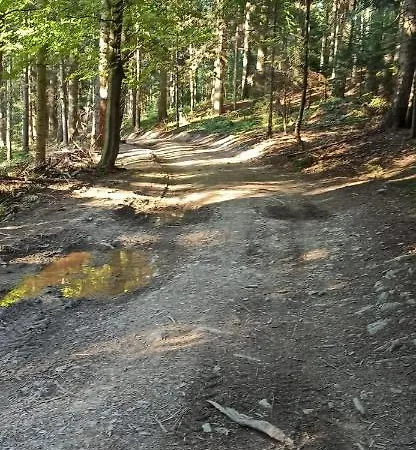Z Widokiem Na Babia Gore Hébergement de vacances Pewel Wielka