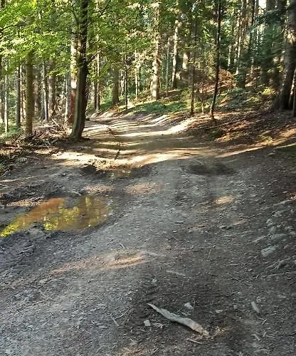 Z Widokiem Na Babia Gore 度假居 Pewel Wielka